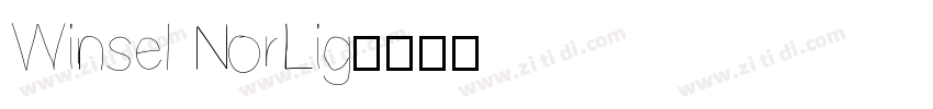 Winsel NorLig字体转换